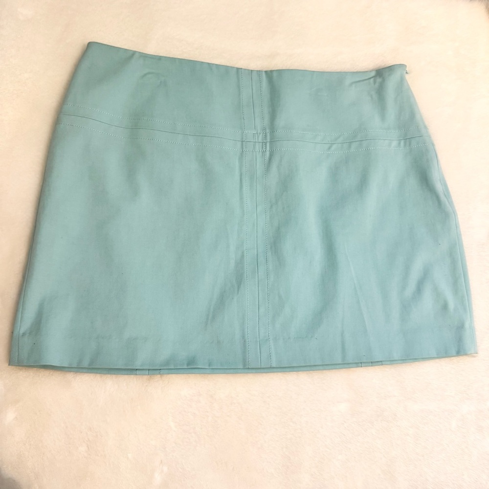 *NEW* Express Mini Skirt